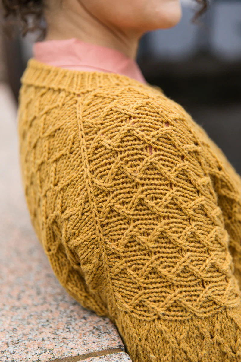 Entwined: Cables, Lace and Knitted Textures (2nd Quality) - Image 8