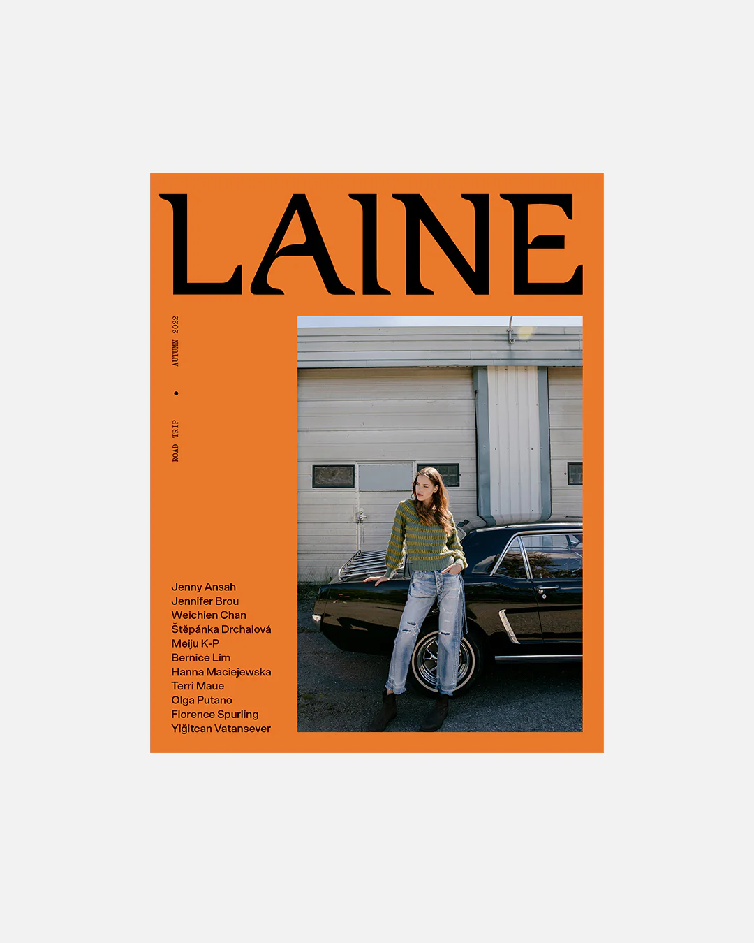 Laine Magazine Issue 15 - Image 3