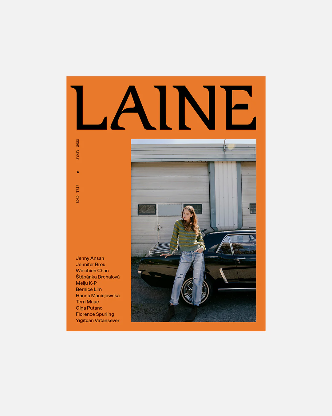 Laine Magazine Issue 15 - Image 4
